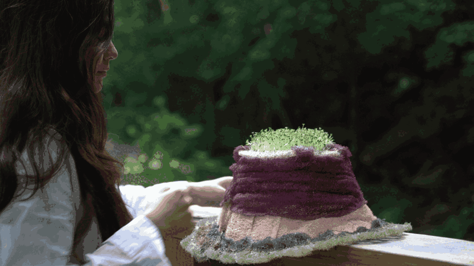 A living loofah hat being watered while worn