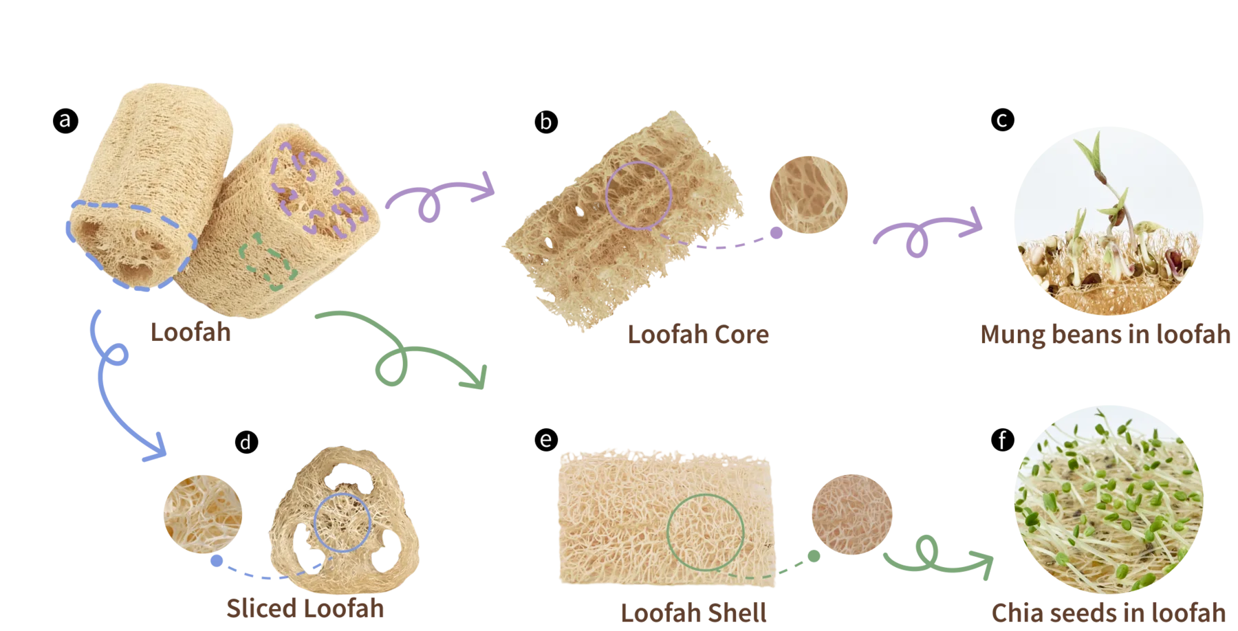 Close view of loofah material structure